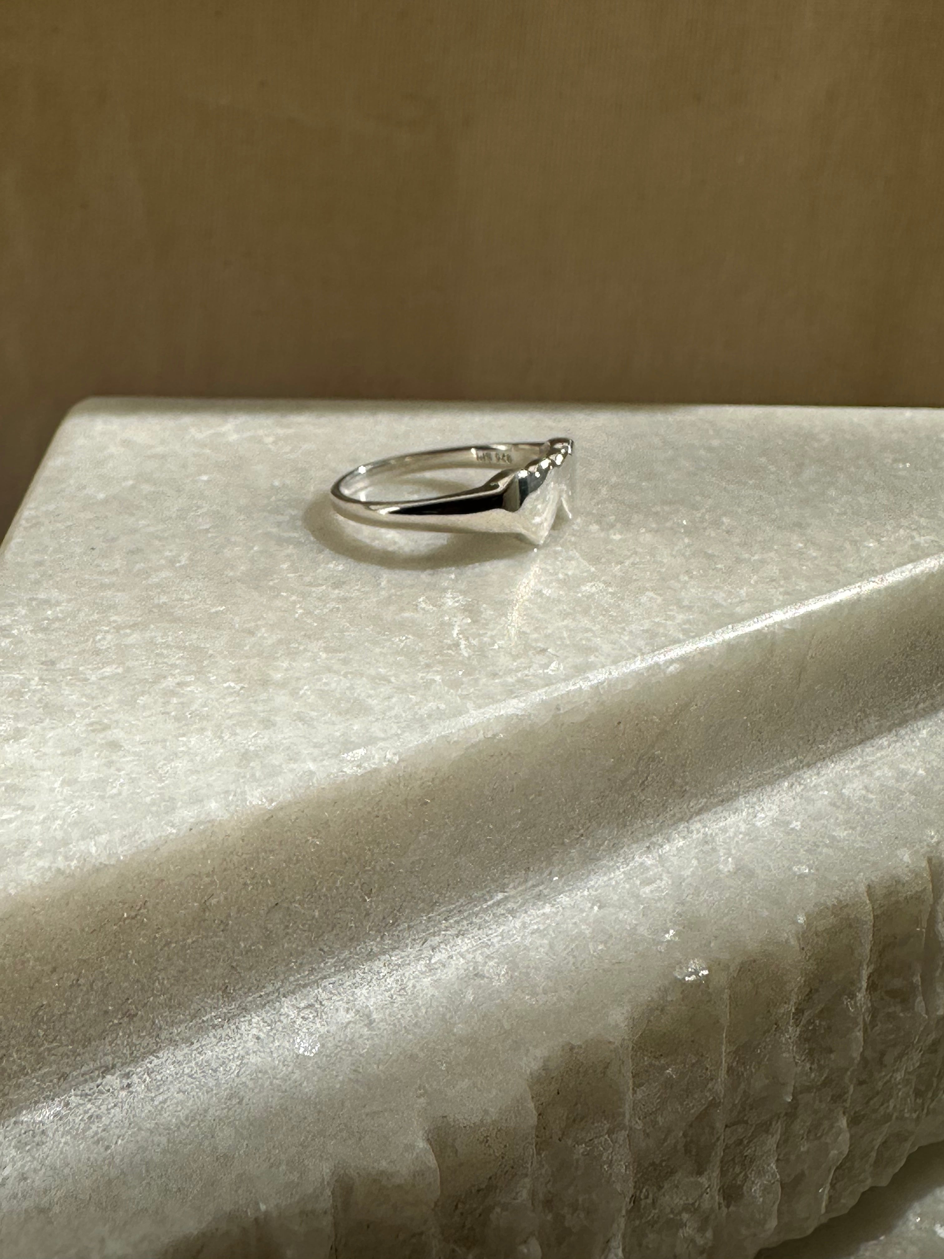 Lovers and Friends Signet Silver Ring (SPECIAL)